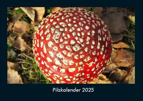 Produktbild: Pilzkalender 2025 Fotokalender DIN A4
