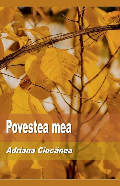 Produktbild: Povestea mea