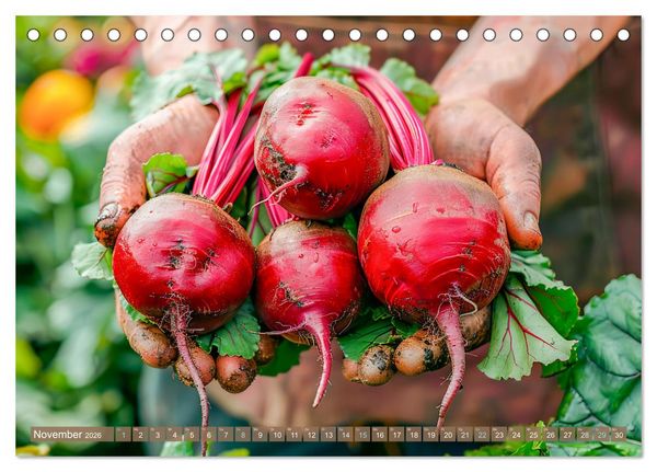 Produktbild: Mein Gem&uuml;segarten - Ein Jahr knackig frisches Gem&uuml;se (Tischkalender 2026 DIN A5 quer), CALVENDO Monatskalender