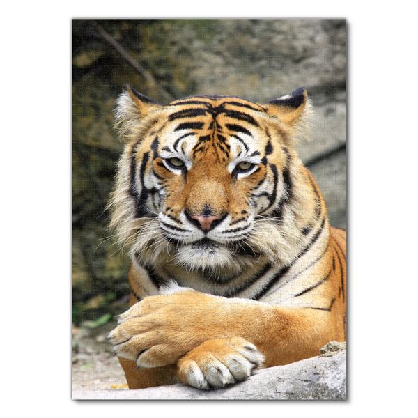 LAIS Puzzle Tiger 1000 Teile – Hochwertig Gestanzt & Mit Stabiler Schachtel | Für Puzzle-Fans