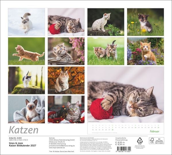 Produktbild: times&more Katzen Bildkalender 2027
