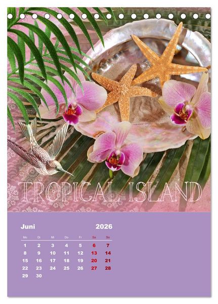 Produktbild: Geschenke vom Meer (Tischkalender 2026 DIN A5 hoch), CALVENDO Monatskalender