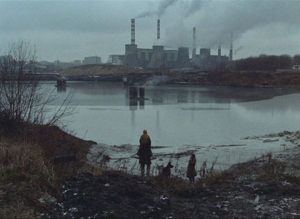 Produktbild: Stalker &ndash; Special Restored Edition (Filmjuwelen / DEFA Science Fiction)