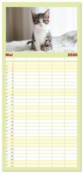Produktbild: Familienplaner 2026 - Kitten auf Entdeckungsreise mit 5 Spalten (Wandkalender, 21 x 45 cm) CALVENDO