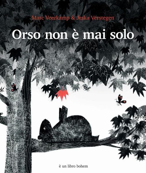 Produktbild: Orso non &egrave; mai solo
