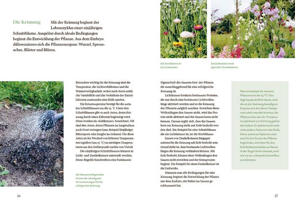 Produktbild: Bl&uuml;tenreich &ndash; Schnittblumen mit Herz und Hand vermehren