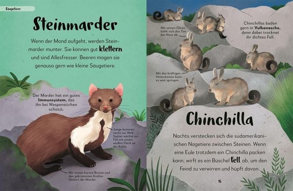Produktbild: Mein liebstes Buch der Tiere der Nacht
