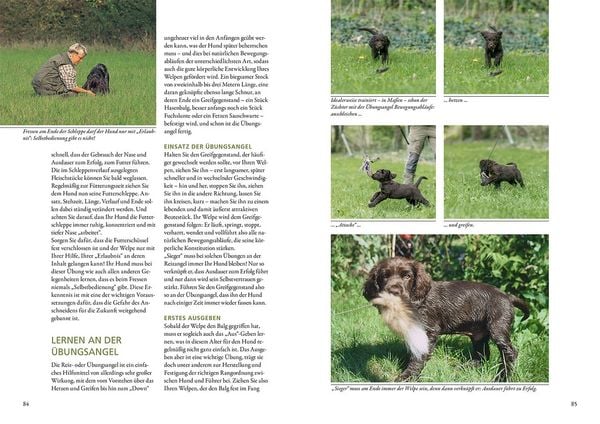 Produktbild: Der Jagdhundwelpe