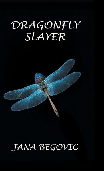 Produktbild: Dragonfly Slayer