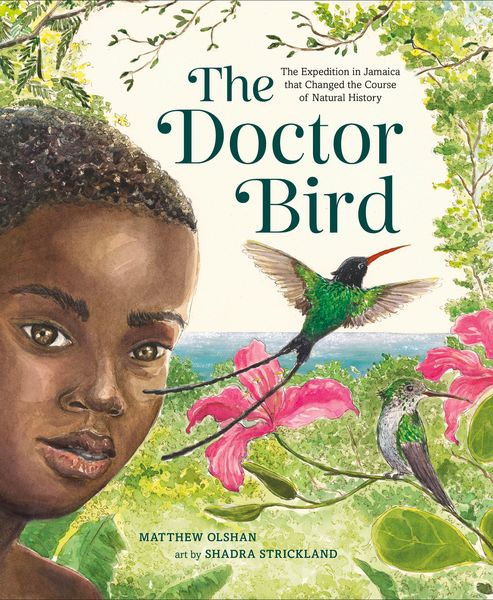 Produktbild: The Doctor Bird