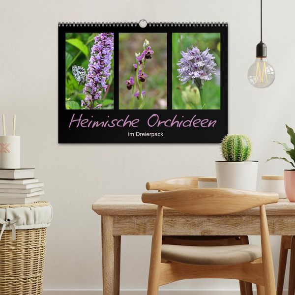 Produktbild: Heimische Orchideen im Dreierpack (Wandkalender 2026 DIN A3 quer), CALVENDO Monatskalender