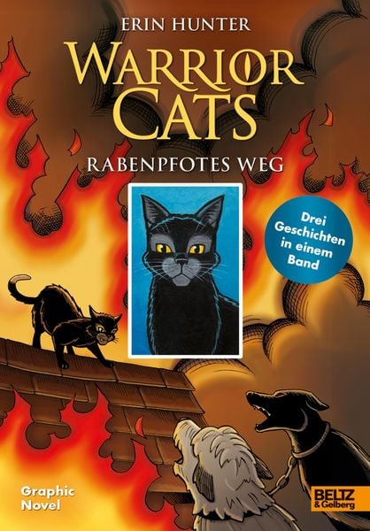 Produktbild: Warrior Cats - Rabenpfotes Weg