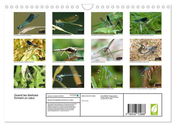 Produktbild: Quand les libellules forment un c&oelig;ur (Calendrier mural 2026 DIN A4 vertical), CALVENDO calendrier mensuel