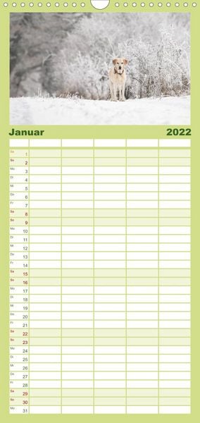 Produktbild: Familienplaner Labrador Trio - 3 Farben, 3 Freunde (Wandkalender 2022 , 21 cm x 45 cm, hoch)