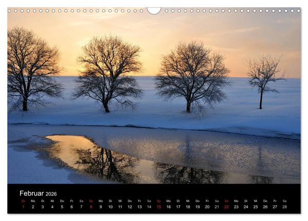 Produktbild: B&auml;ume (Wandkalender 2026 DIN A3 quer), CALVENDO Monatskalender