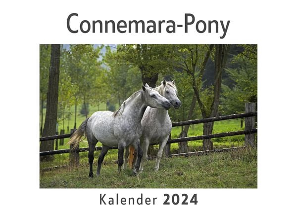Produktbild: Connemara-Pony (Wandkalender 2024, Kalender DIN A4 quer, Monatskalender im Querformat mit Kalendarium, Das perfekte Geschenk)
