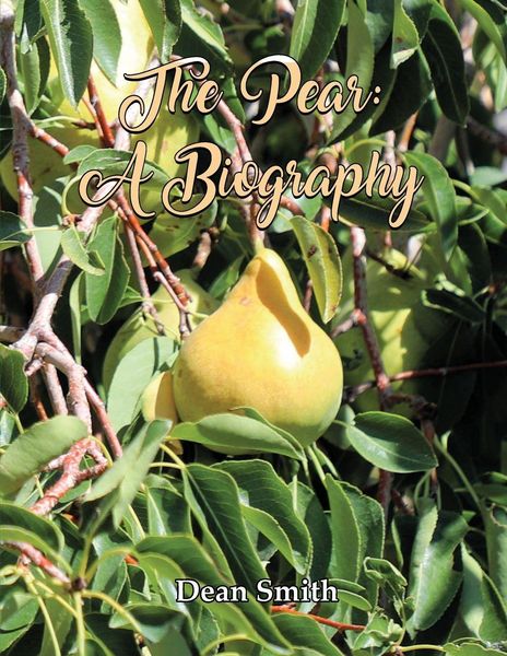 Produktbild: The Pear