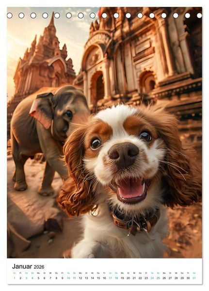 Produktbild: Cavalier King Charles Spaniel - Lustige Weltenreise im Selfie-Modus (Tischkalender 2026 DIN A5 hoch), CALVENDO Monatskalender