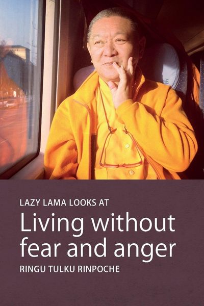 Produktbild: Lazy Lama looks at Living without fear and anger