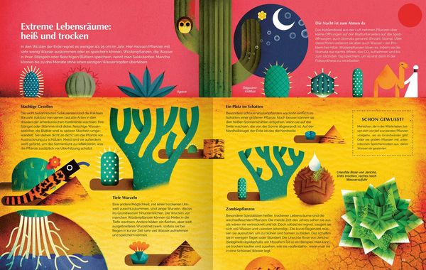 Produktbild: Sonnenschein zum Fr&uuml;hst&uuml;ck - entdecke die Welt der Pflanzen