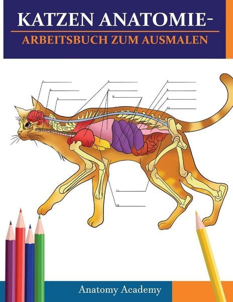Produktbild: Katzen AnatomieArbeitsbuch zum Ausmalen