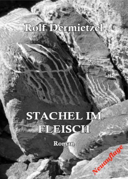 Produktbild: Stachel im Fleisch