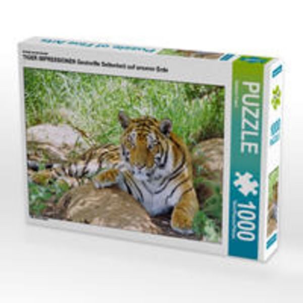 CALVENDO Puzzle Ein Motiv aus dem Kalender TIGER IMPRESSIONEN Gestreifte Seltenheit auf unserer Erde | 1000 Teile Lege-Größe 64 × 48 cm Foto-Puzzle für glückliche Stunden