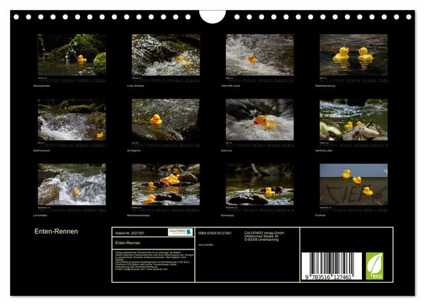 Produktbild: Enten-Rennen (Wandkalender 2026 DIN A4 quer), CALVENDO Monatskalender