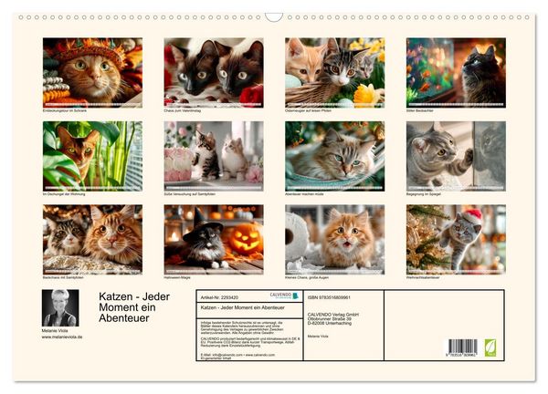 Produktbild: Katzen - Jeder Moment ein Abenteuer (Wandkalender 2027 DIN A2 quer), CALVENDO Monatskalender