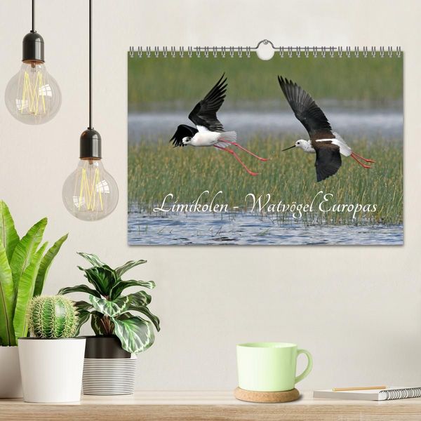 Produktbild: Limikolen - Watv&ouml;gel Europas (Wandkalender 2027 DIN A4 quer), CALVENDO Monatskalender