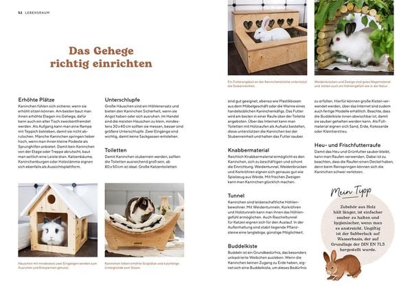 Produktbild: Zwergkaninchen