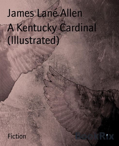 Produktbild: A Kentucky Cardinal (Illustrated)