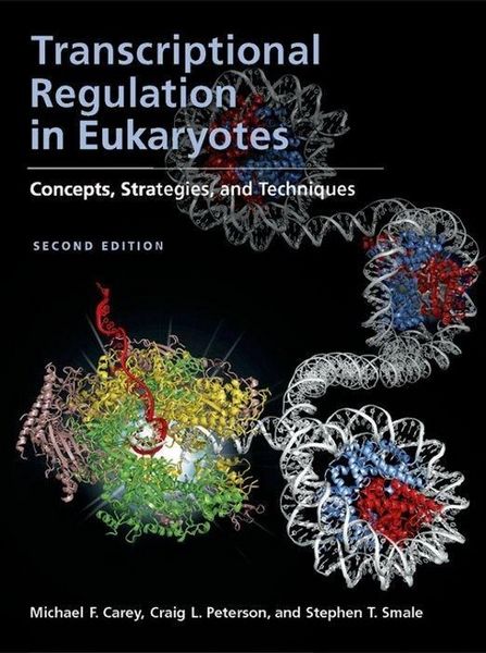 Produktbild: Transcriptional Regulation in Eukaryotes: Concepts, Strategies, and Techniques