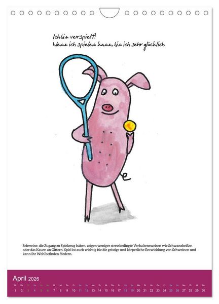 Produktbild: Schweinekalender - Alles was du &uuml;ber Schweine wissen wolltest! (Wandkalender 2026 DIN A4 hoch), CALVENDO Monatskalender