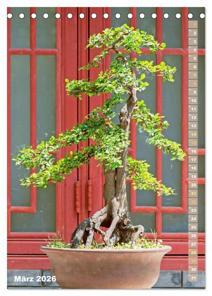 Produktbild: Bonsai: Gartenkunst im Kleinen (Tischkalender 2026 DIN A5 hoch), CALVENDO Monatskalender