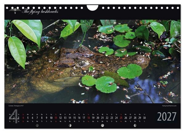 Produktbild: Costa Rica Blickwinkel 2027 (Wandkalender 2027 DIN A4 quer), CALVENDO Monatskalender