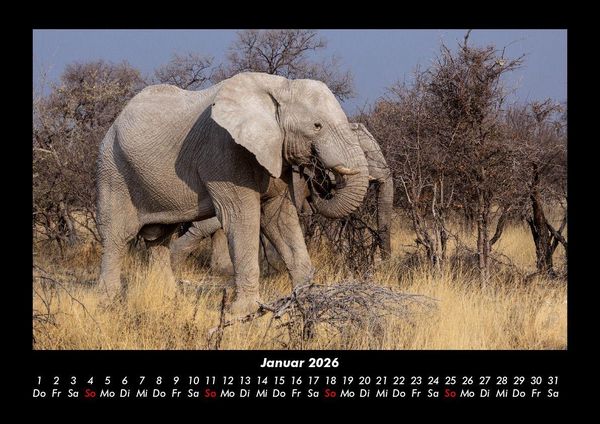 Produktbild: Der Elefantenkalender 2026 Fotokalender DIN A3