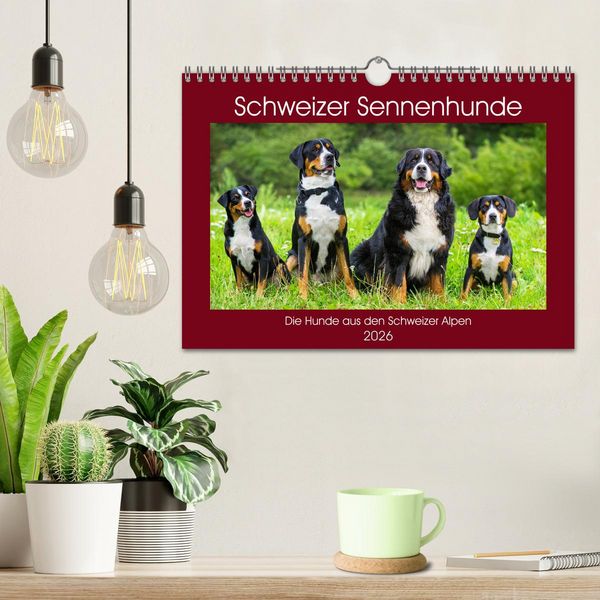 Produktbild: Schweizer Sennenhunde - die Hunde aus den Schweizer Alpen (Wandkalender 2026 DIN A4 quer), CALVENDO Monatskalender