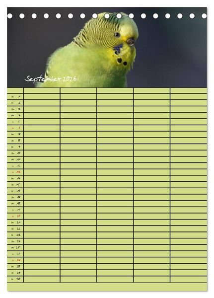 Produktbild: Der Wellensittich-Familienplaner (Tischkalender 2026 DIN A5 hoch), CALVENDO Monatskalender