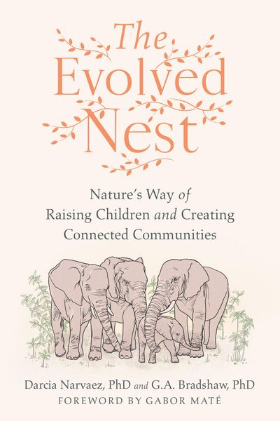 Produktbild: The Evolved Nest