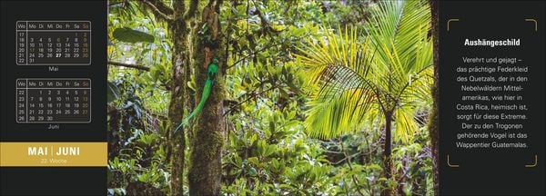 Produktbild: Naturparadiese Premium-Tischplaner 2027 - Wochenkalender mit 53 Fotografien