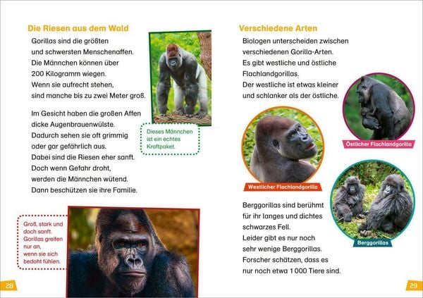 Produktbild: WAS IST WAS Erstes Lesen Band 22. Menschenaffen