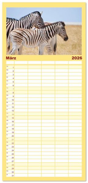 Produktbild: Familienplaner 2026 - Zebras - Die gestreiften Vierbeiner. mit 5 Spalten (Wandkalender, 21 x 45 cm) CALVENDO