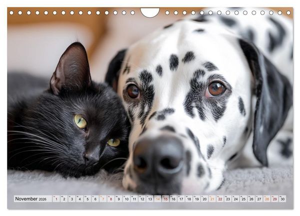 Produktbild: Hund und Katze - Tierische Freunde (Wandkalender 2026 DIN A4 quer), CALVENDO Monatskalender