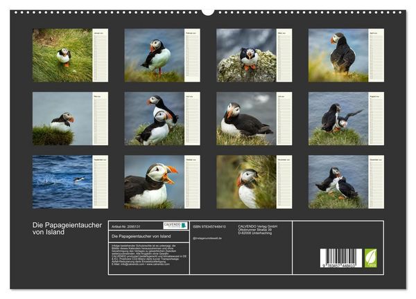 Produktbild: Die Papageientaucher von Island (hochwertiger Premium Wandkalender 2026 DIN A2 quer), Kunstdruck in Hochglanz