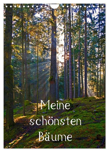 Produktbild: Meine sch&ouml;nsten B&auml;ume (Wandkalender 2026 DIN A4 hoch), CALVENDO Monatskalender