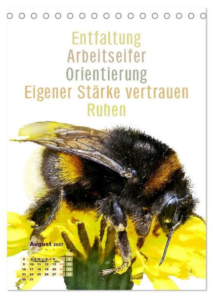 Produktbild: Krafttiere - Inspirierende Begleiter voller Magie und Seele (Tischkalender 2027 DIN A5 hoch), CALVENDO Monatskalender