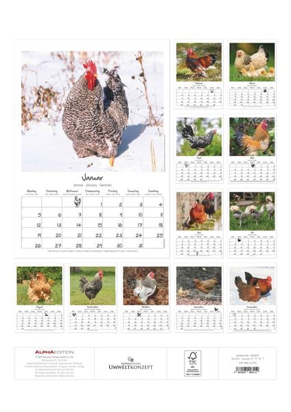 Produktbild: Hühner Kalender im Format 29,7 x 42