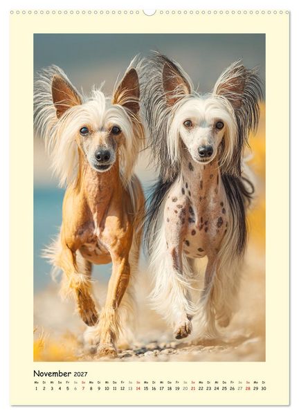 Produktbild: Charme und Grazie. Die Anmut der Chinesischen Schopfhunde (hochwertiger Premium Wandkalender 2027 DIN A2 hoch), Kunstdruck in Hochglanz