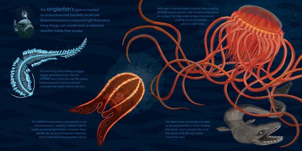 Produktbild: Henn, S: Lifesize Ocean Animals